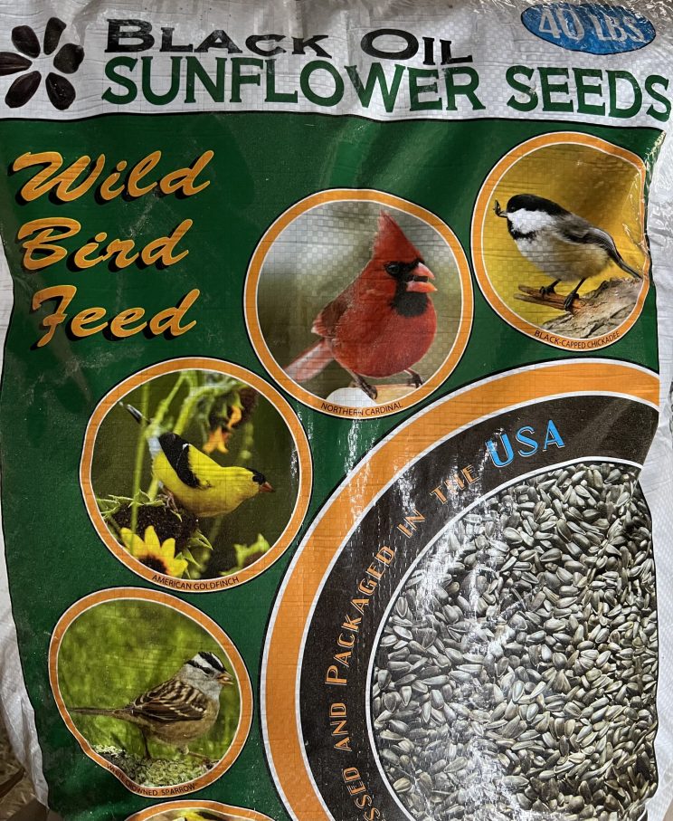 Black Oil Sunflower Seed - Redemption Springs